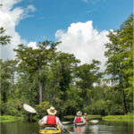 kayaking the preserve